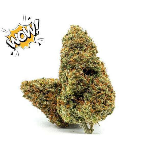 Fleur CBD Lemon Haze Bio Glasshouse française