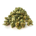 Lemon OG Small Bud
