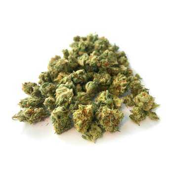 Fleur CBD Lemon OG Small Bud petites têtes citronnées