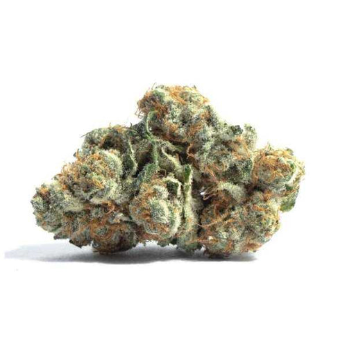 Fleur CBD Money Maker Indoor Suisse têtes compactes