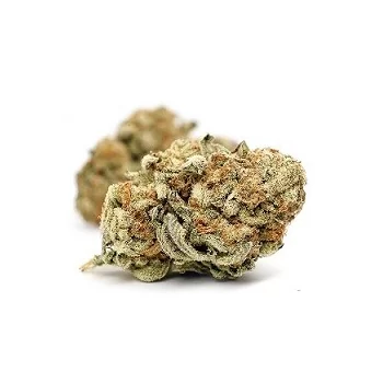 Fleurs CBD MANGO HAZE (Grammes : 100 grammes)