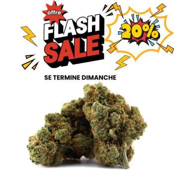 Fleur de CBD amnésia promo