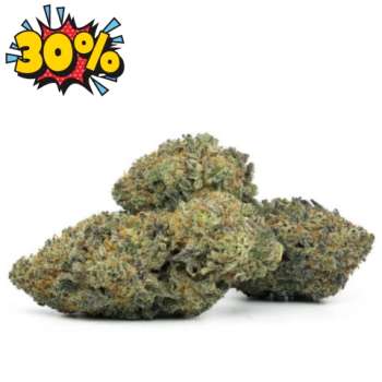 Fleurs de cbd Hawaiian Haze promo