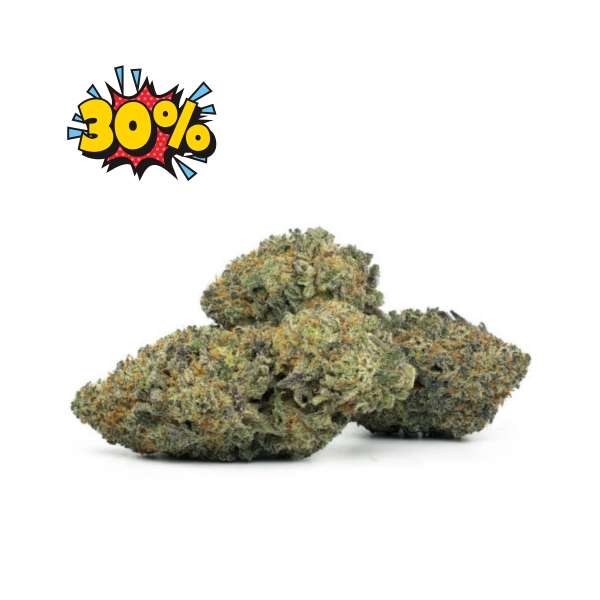 Fleurs de cbd Hawaiian Haze promo