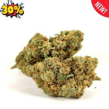 gorilla glue CBD 1.5 euro le gramme