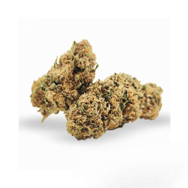 ORANGE BUD CBD