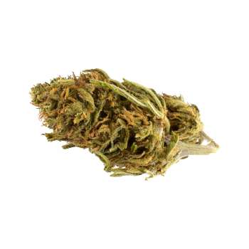 Critical Outdoor