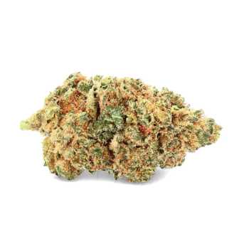 bubble gum fleur de CBD