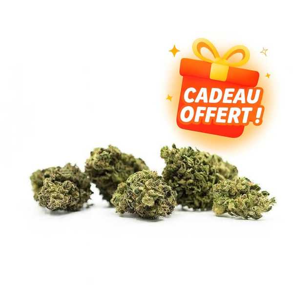 Fleurs et Résine CBD de Qualité