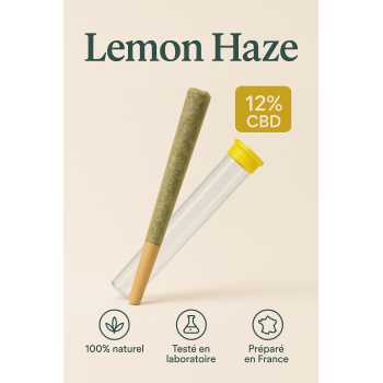 joint rouler lemon haze cbd