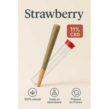 joint rouler strawberry cbd