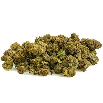SMALL BUD CBD – OG KUSH