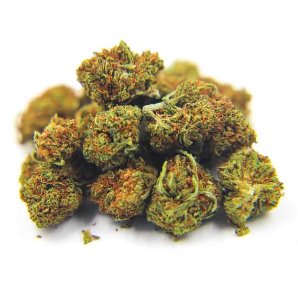 SMALL BUD CBD