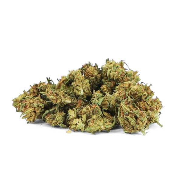small bud recompenser