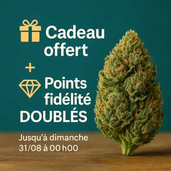 Cadeau CBD – Fleur ou Résine Offerte