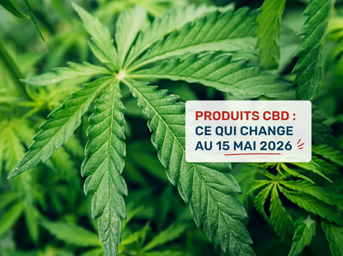 CBD en 2026 : ce qui est interdit et ce qui reste légal