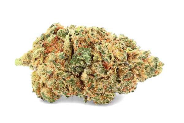 Fleur CBD premium en gros plan, classement des meilleures boutiques CBD en ligne en France 2026