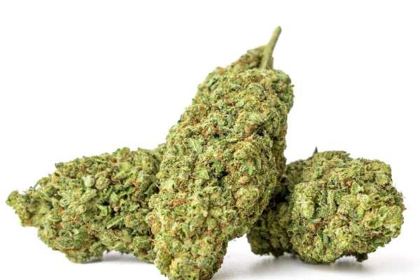 Fleur de CBD Runtz glasshouse : tête dense couverte de trichomes issue d'une culture sous serre en verre, guide qualité 2026