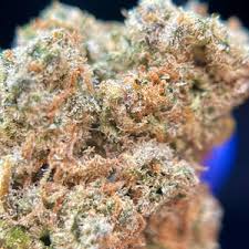 Comment choisir une fleur de CBD puissante ?