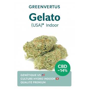 Fleur de CBD indoor givrée de trichomes, comparatif des modes de culture indoor greenhouse et outdoor