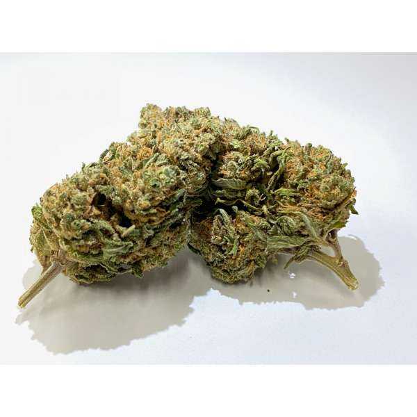 Fleur de CBD sans THC : tête de Harlequin bio française analysée en laboratoire, taux de THC inférieur à 0,3 %