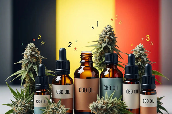 Top 5 CBD Shops en Belgique : Les Meilleures Boutiques en Ligne