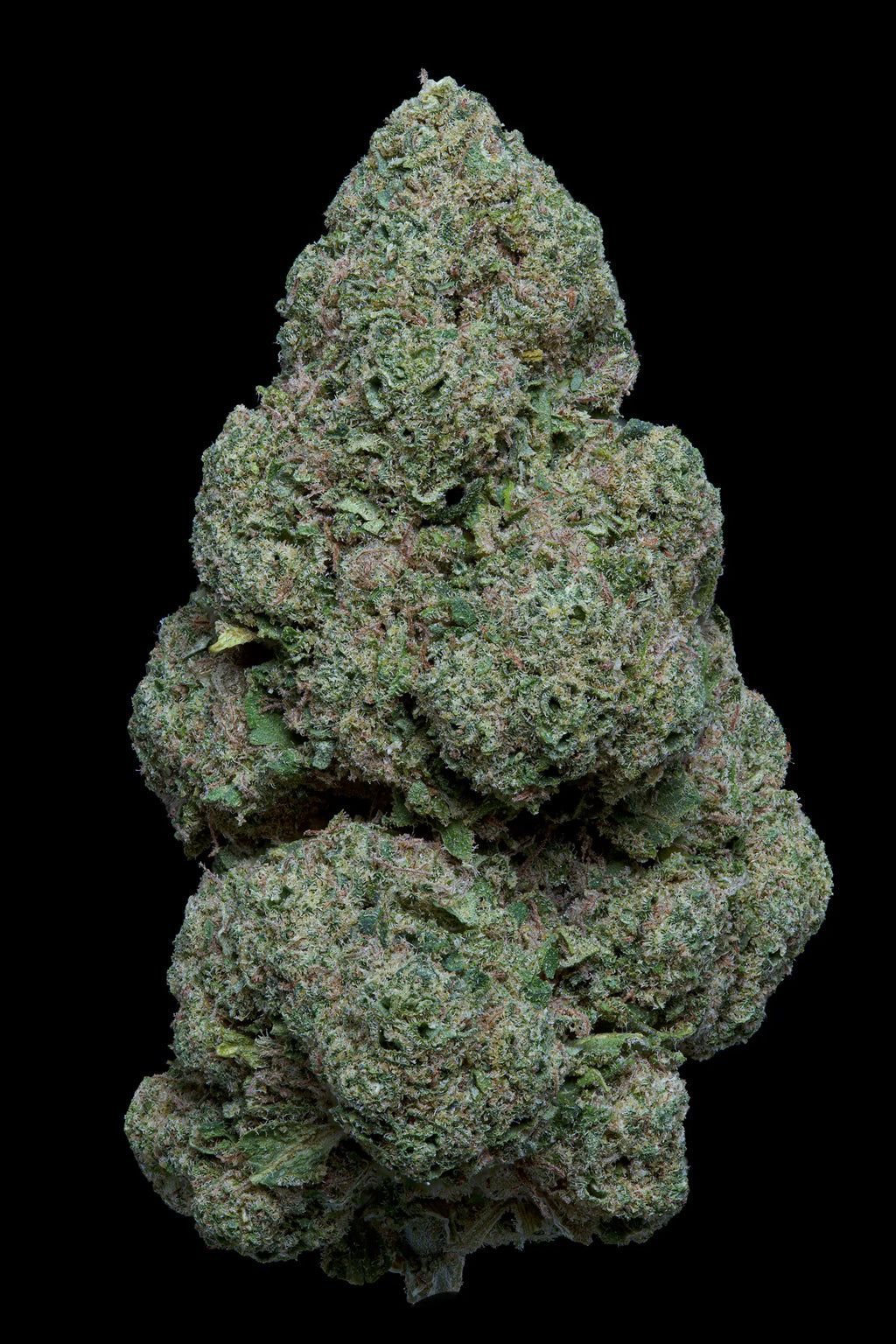 Candy kush us