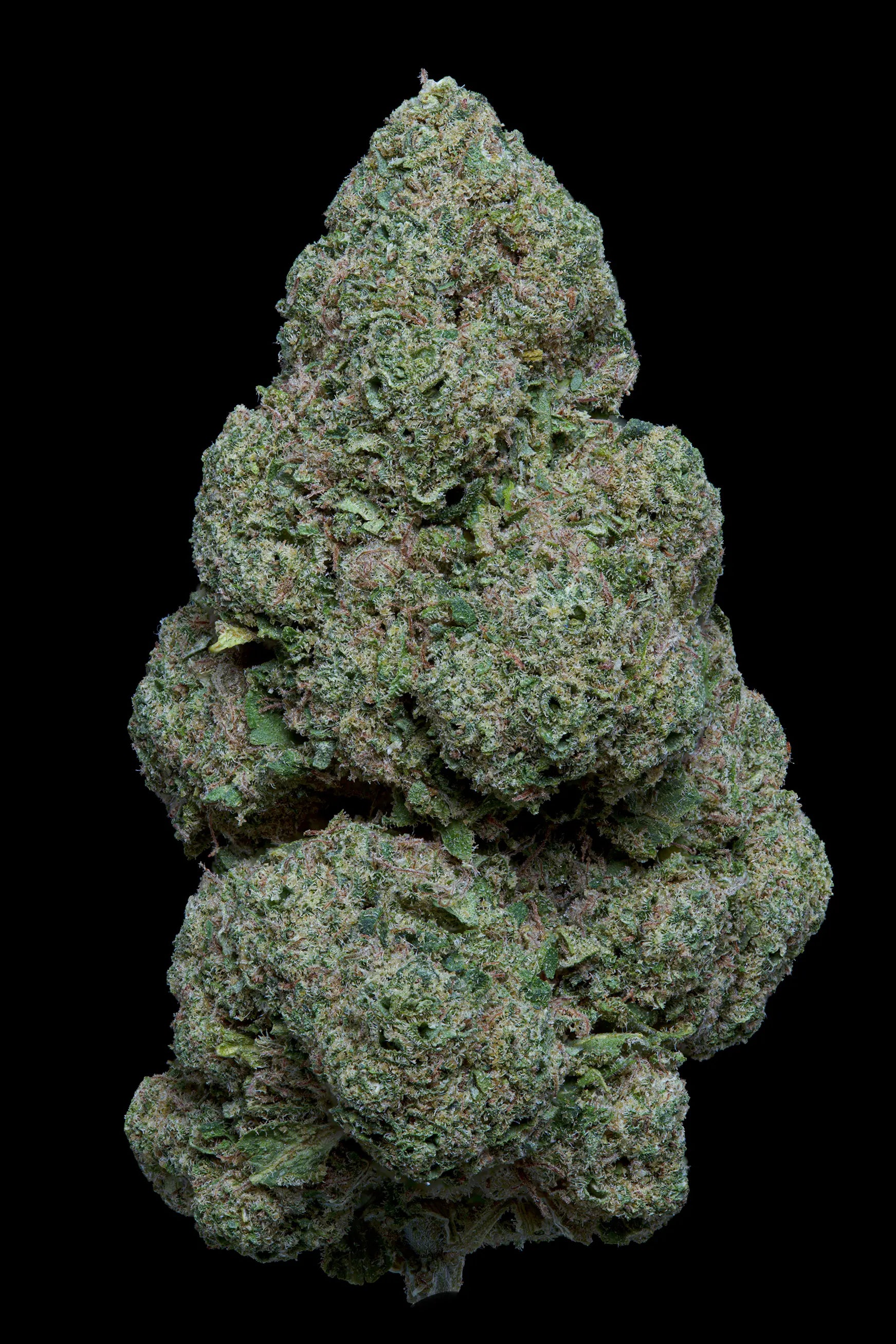 Candy kush us