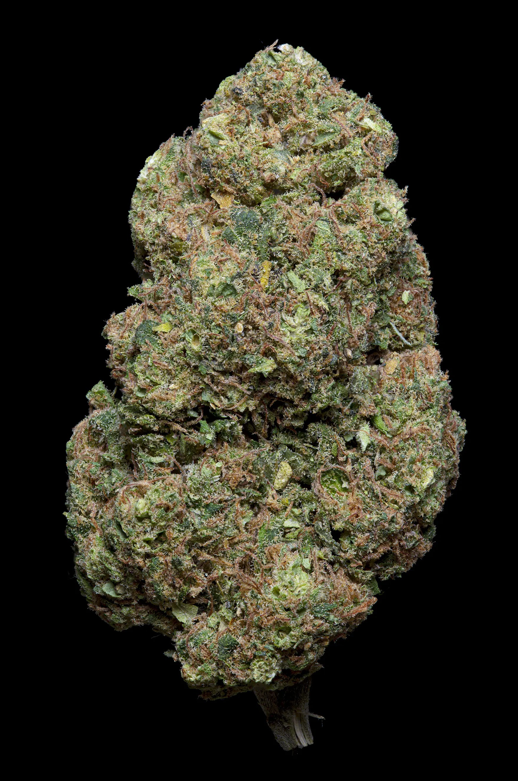Blueberry us