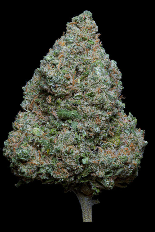 fleurs us cbd