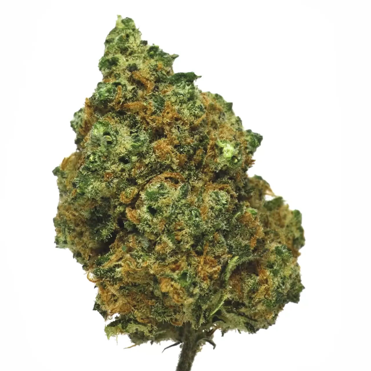 Fleur CBD Candy Kush Glasshouse génétique US