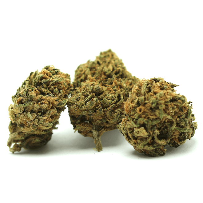 Amnesia Frozen Small Bud CBD