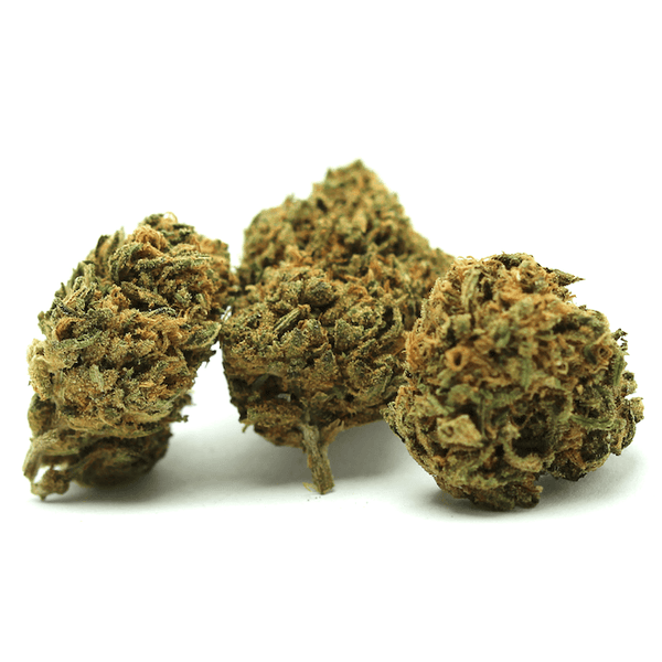 Amnesia Frozen Small Bud CBD