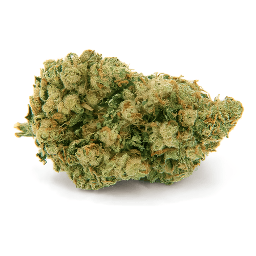 Fleur CBD Big Nuts Indoor génétique US