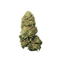 Fleur CBD Pineapple Kush Greenhouse ananas