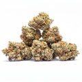 Alien Cookies Small Bud CBD