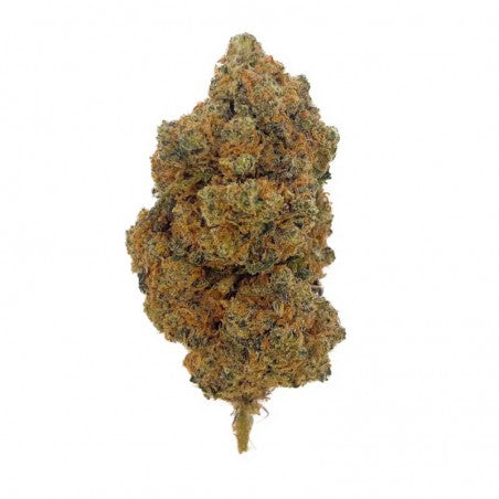 Fleur CBD Blueberry US Glasshouse fruits des bois