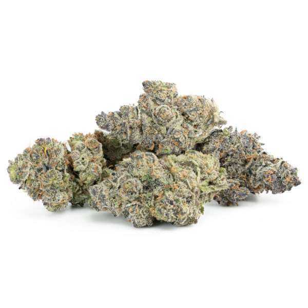 Dark Devil – Small Bud