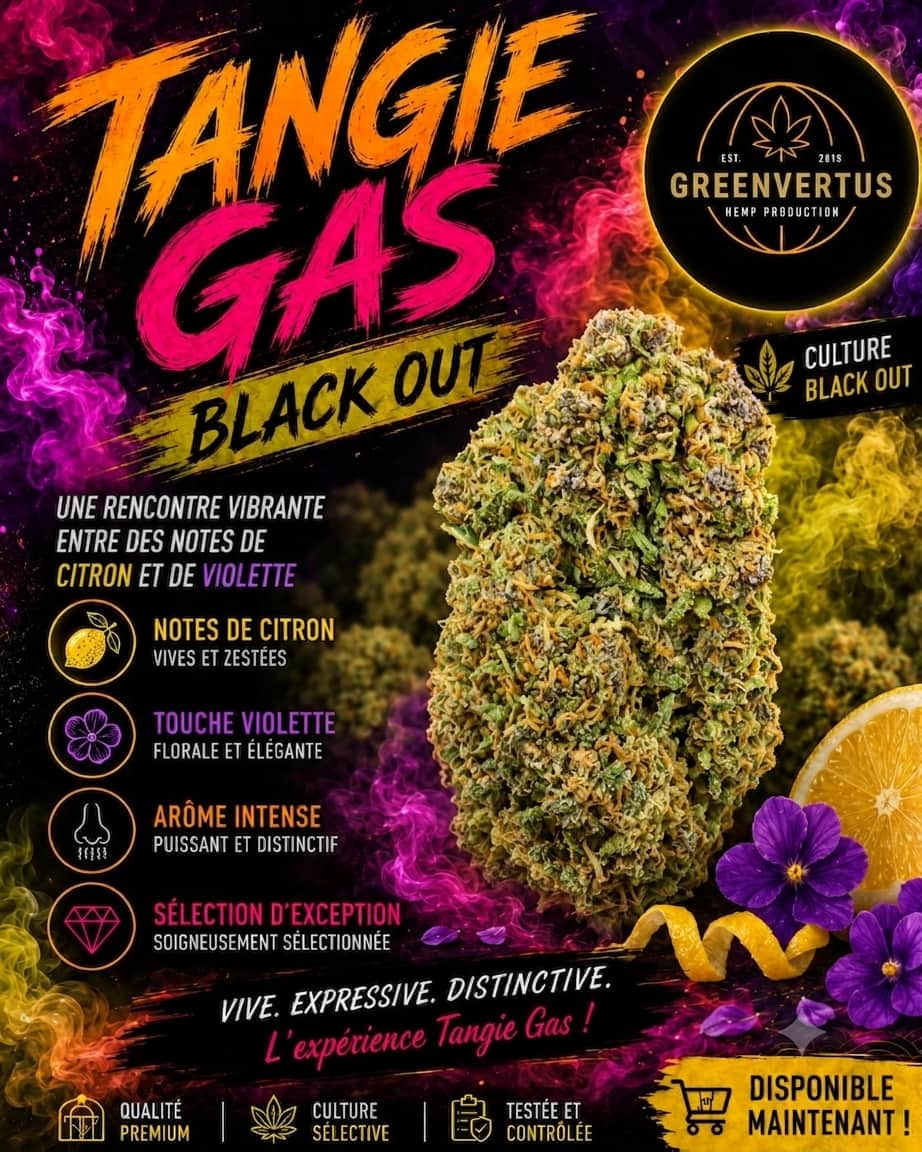 Tangie Gas (Black Out)