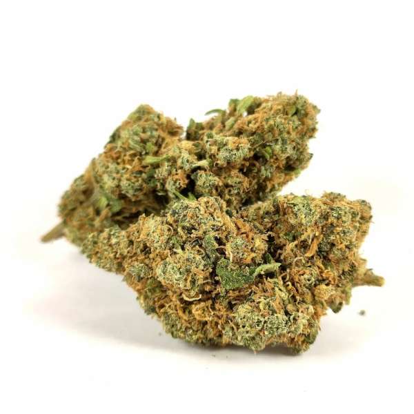 Gorilla Glue Gh✨
