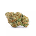 Fleur CBD Jack Herer Greenhouse