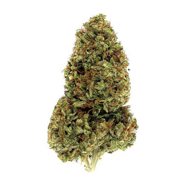 Lemon Haze CBD Bio