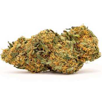 Fleur CBD Mango Haze riche en CBG