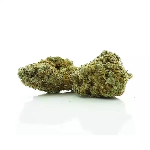 Fleur CBD OG Kush Bio France têtes compactes