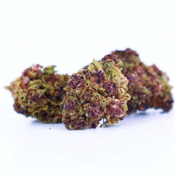 Fleur CBD Purple Haze Small Bud petites têtes violettes