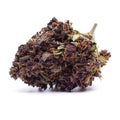 Fleur CBD Purple Haze arômes fruits rouges
