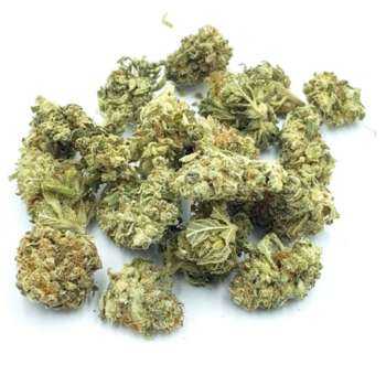 Fleur CBD Amnesia Haze Small Bud petites têtes