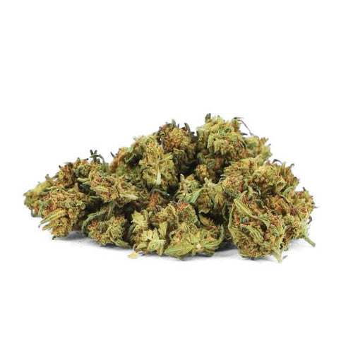 Fleur CBD Canna Punch Small Bud récompensée Platinum Cup