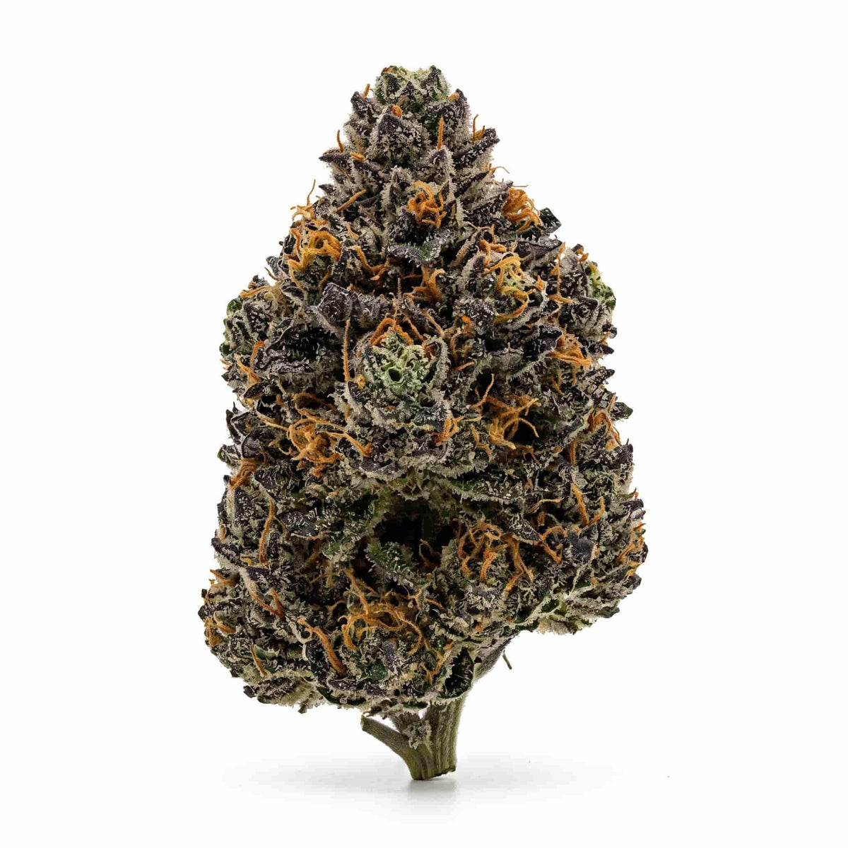 Sour Diesel Outdoor