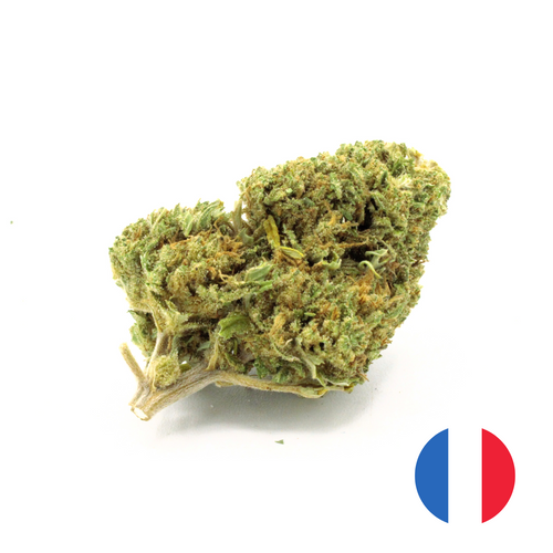 White Widow